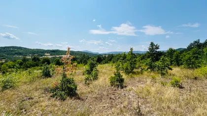Stari Zlotski Put | 4zida.rs