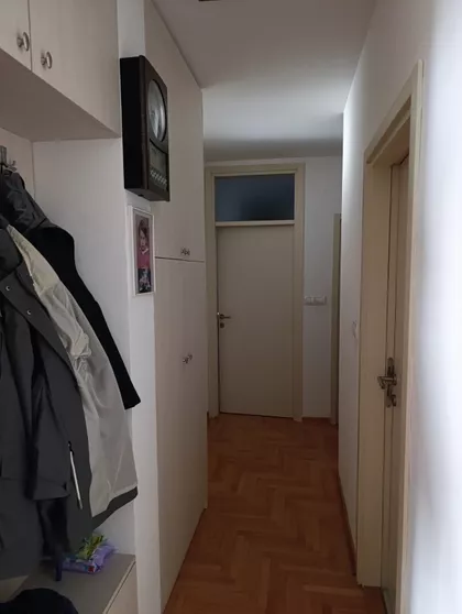 Stepa Stepanović | 4zida.rs