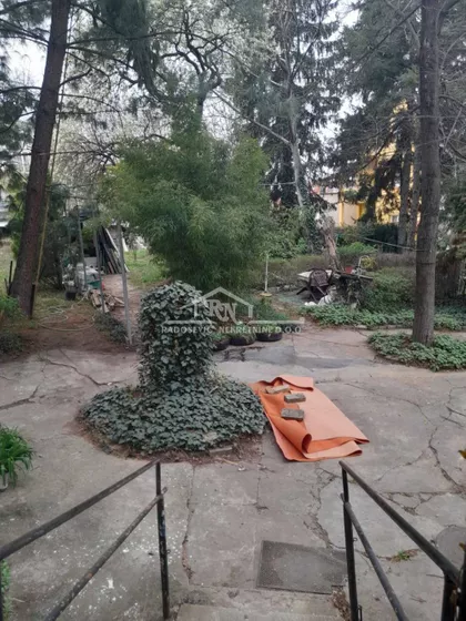 Vase Pelagića | 4zida.rs