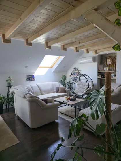 Brigadira Ristića | 4zida.rs