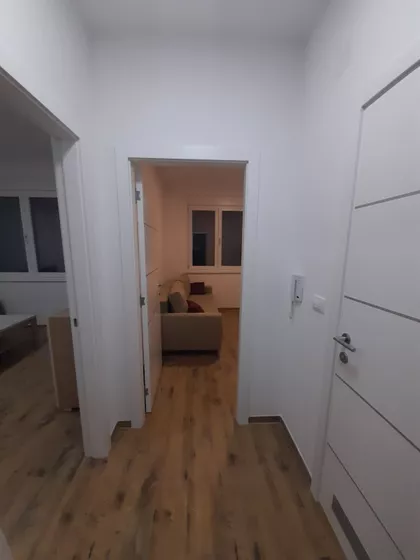 Luja Pastera | 4zida.rs