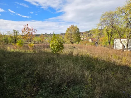 Vrdnik | 4zida.rs