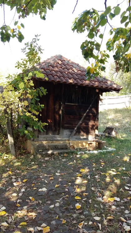 Dositejeva | 4zida.rs