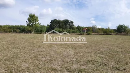 Karađorđeva | 4zida.rs