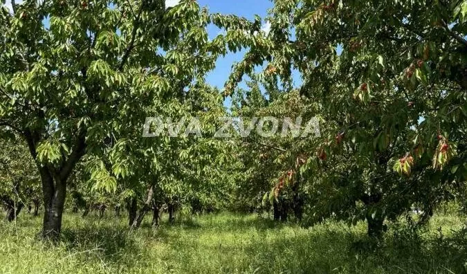 Poljoprivredno zemljište | 4zida