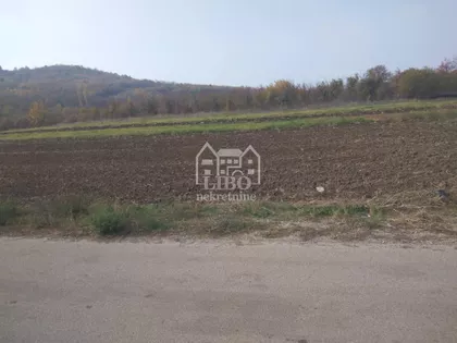 Branko Bjegović | 4zida.rs