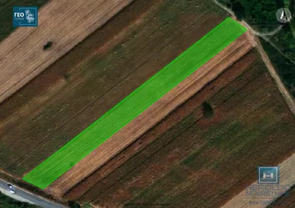 Mijatovac | 4zida.rs