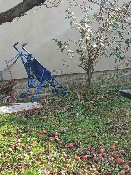 Čegarska | 4zida.rs