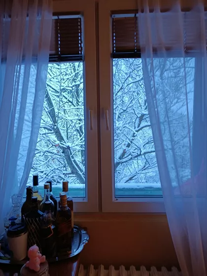 Stevana Opačića | 4zida.rs