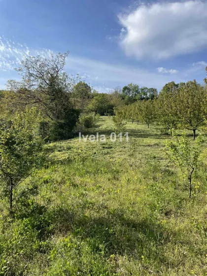 Vilina Strana | 4zida.rs