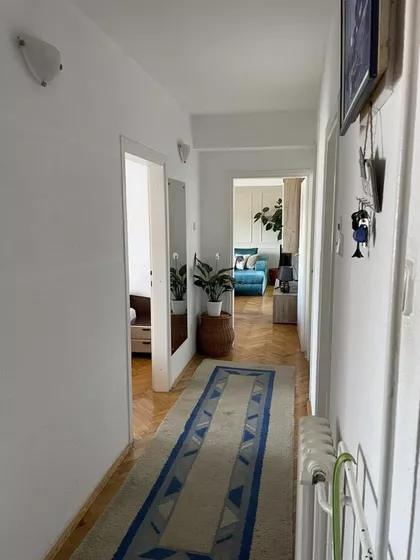 Novi Sad - Centar | 4zida.rs