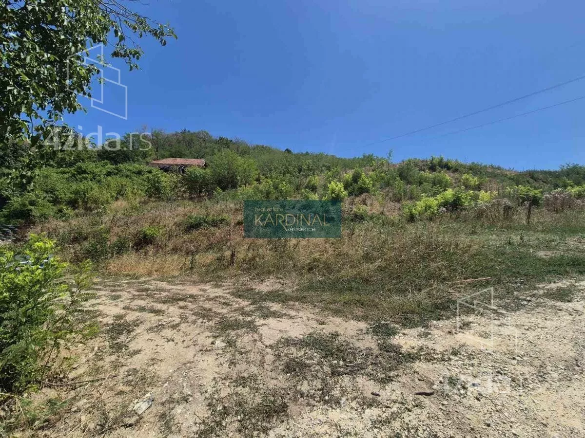 Plac | 4zida