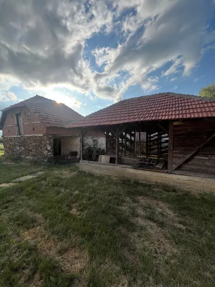 Šumadijska | 4zida.rs
