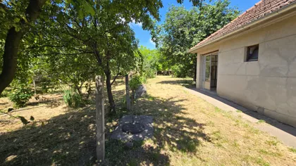 Pačir | 4zida.rs