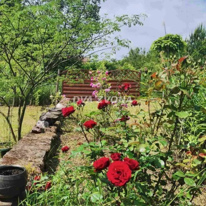 Čortanovci | 4zida.rs