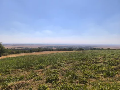 Divoš | 4zida.rs