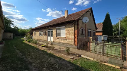 Pačir | 4zida.rs