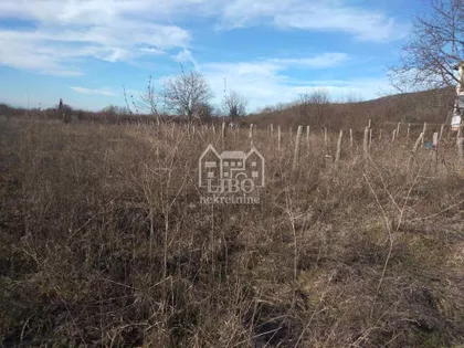 Čamurlija | 4zida.rs