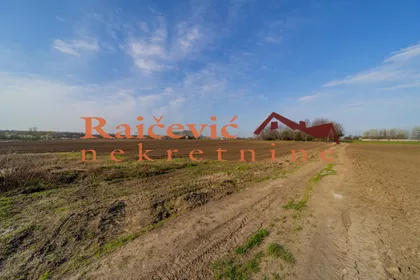 Dobanovacka rampa | 4zida.rs