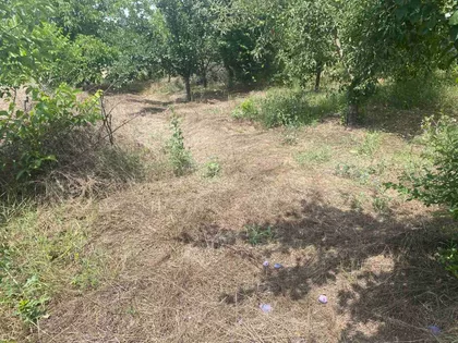 Oplenačka | 4zida.rs