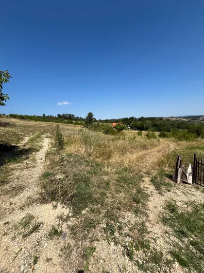 Vinogradi | 4zida.rs