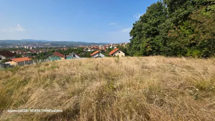 Peti Puk | 4zida.rs