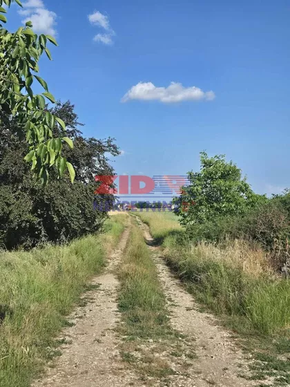 Žarkih Suncokreta | 4zida.rs