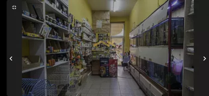 Nova Detelinara | 4zida.rs