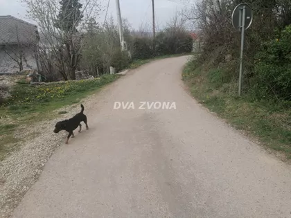 Čortanovci | 4zida.rs