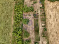Alibegovac, Petrovaradin, Gradske lokacije, Novi Sad | 4zida.rs