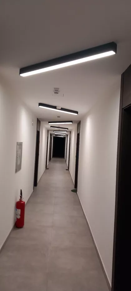 Miodraga Vlajića Šuke | 4zida.rs