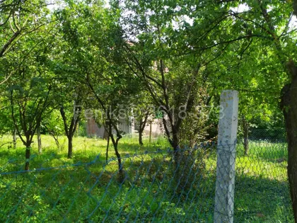 Berkasovo | 4zida.rs