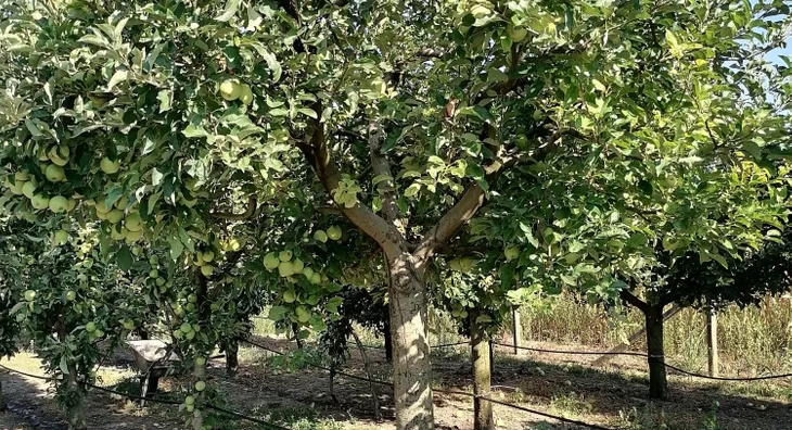 Poljoprivredno zemljište | 4zida