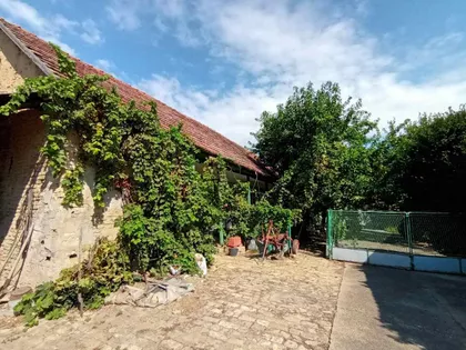 Budisava | 4zida.rs