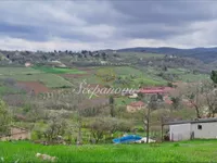 Sremska Kamenica, Gradske lokacije, Novi Sad | 4zida.rs