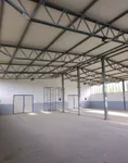 Hala | 4zida
