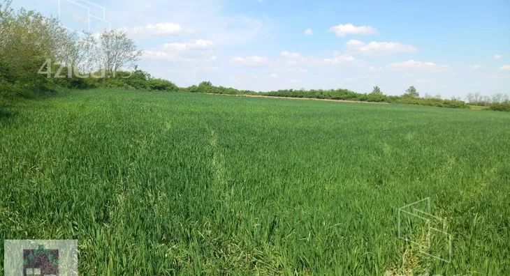 Poljoprivredno zemljište | 4zida