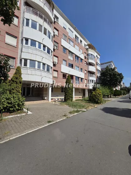 Nedeljka Gvozdenovića | 4zida.rs