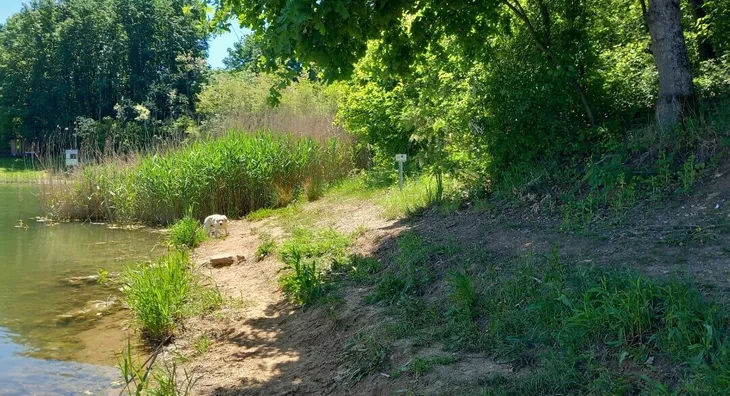 Poljoprivredno zemljište | 4zida