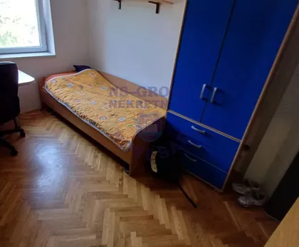 Nova Detelinara | 4zida.rs