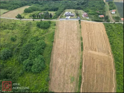 Trešnja | 4zida.rs