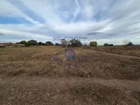 Kisač, Okolne lokacije, Novi Sad | 4zida.rs