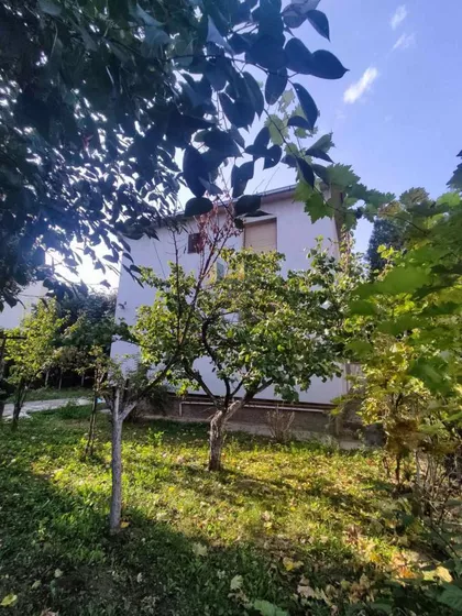 Novi Banovci | 4zida.rs