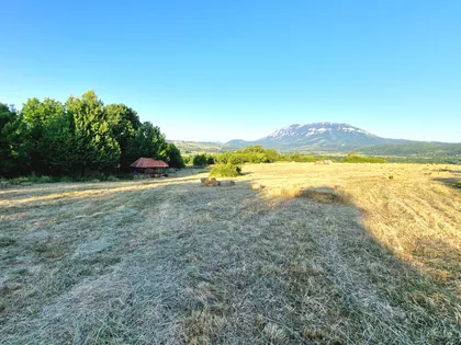 Zaselak Ludi Vir | 4zida.rs