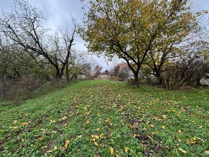 Dobanovci | 4zida.rs