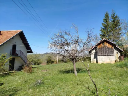 Mačkat | 4zida.rs