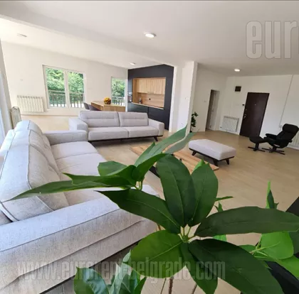 BELI DVOR | 4zida.rs