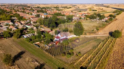 Kisač | 4zida.rs