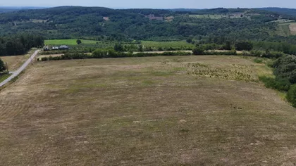 Vitomira Nikolića | 4zida.rs