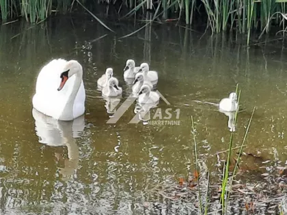 Gradske lokacije | 4zida.rs